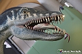 VBS_0865 - Dinosauri. Terra dei giganti